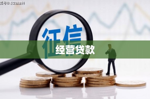 天元经营贷款