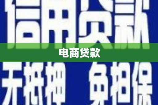 天元电商贷款