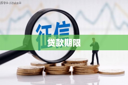 天元贷款期限