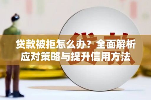 天元贷款被拒怎么办？全面解析应对策略与提升信用方法