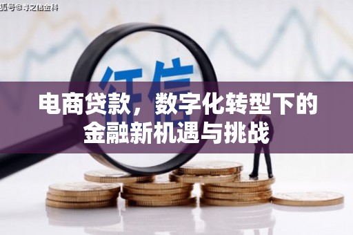 天元电商贷款，数字化转型下的金融新机遇与挑战