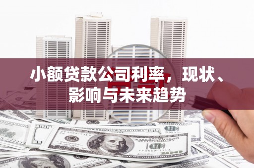 天元小额贷款公司利率，现状、影响与未来趋势