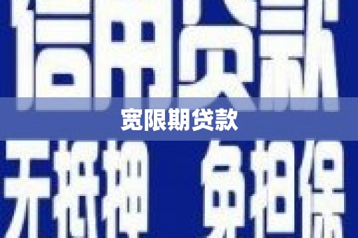 天元宽限期贷款