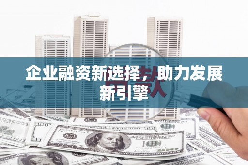 天元企业融资新选择，助力发展新引擎