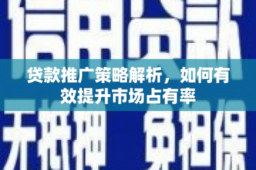 天元贷款推广策略解析，如何有效提升市场占有率