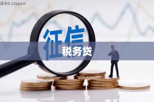天元税务贷