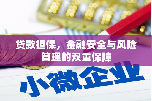天元贷款担保，金融安全与风险管理的双重保障