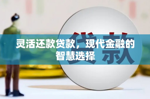 天元灵活还款贷款，现代金融的智慧选择
