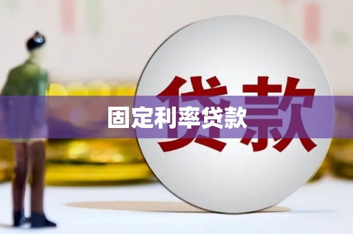 天元固定利率贷款