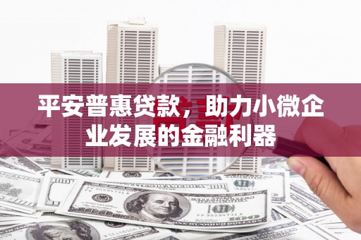 天元平安普惠贷款，助力小微企业发展的金融利器