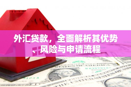 天元外汇贷款，全面解析其优势、风险与申请流程