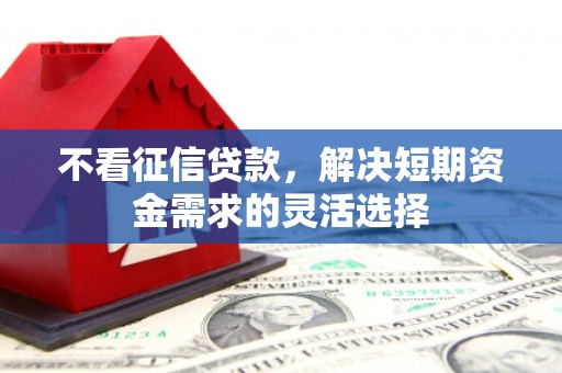 天元不看征信贷款，解决短期资金需求的灵活选择