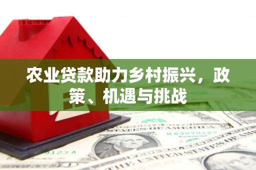 天元农业贷款助力乡村振兴，政策、机遇与挑战