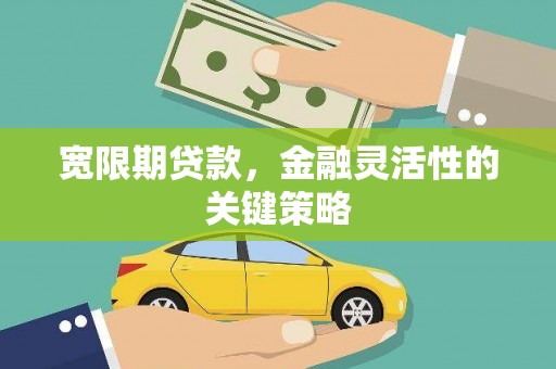 天元宽限期贷款，金融灵活性的关键策略