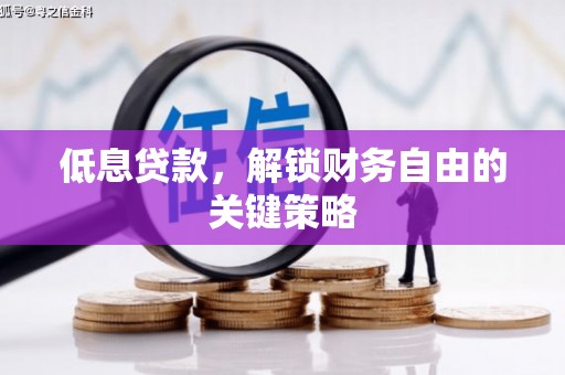 天元低息贷款，解锁财务自由的关键策略