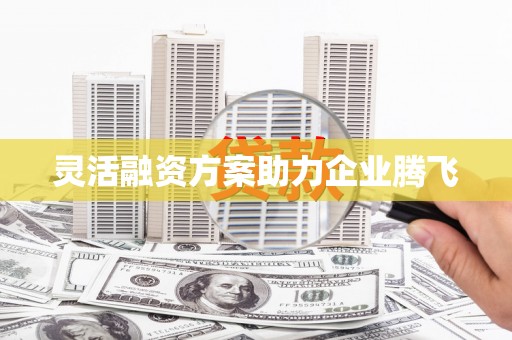 天元灵活融资方案助力企业腾飞