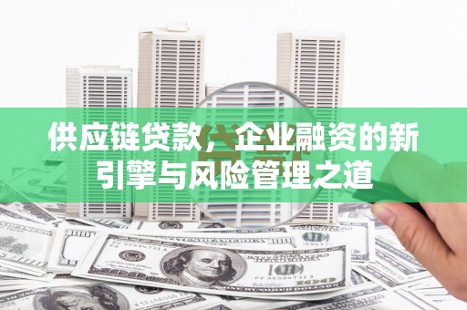 天元供应链贷款，企业融资的新引擎与风险管理之道