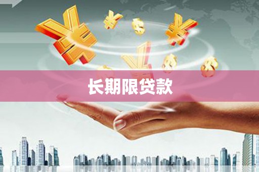 天元长期限贷款
