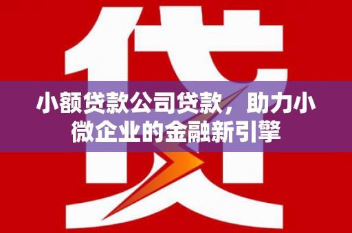 天元小额贷款公司贷款，助力小微企业的金融新引擎