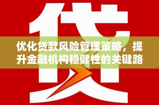 天元优化贷款风险管理策略，提升金融机构稳健性的关键路径