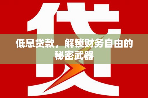 天元低息贷款，解锁财务自由的秘密武器
