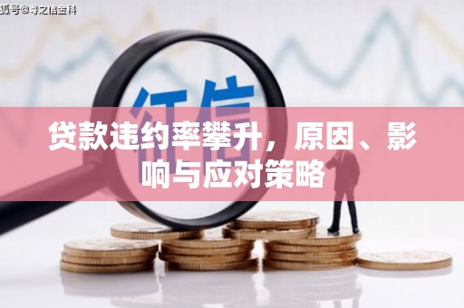 天元贷款违约率攀升，原因、影响与应对策略