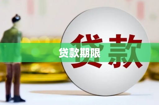 天元贷款期限