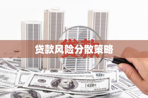 天元贷款风险分散策略
