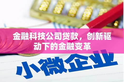天元金融科技公司贷款，创新驱动下的金融变革