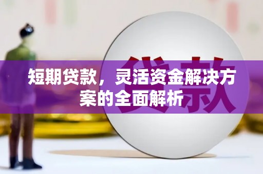 天元短期贷款，灵活资金解决方案的全面解析