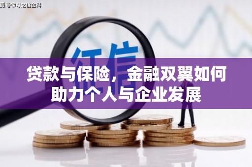 天元贷款与保险，金融双翼如何助力个人与企业发展