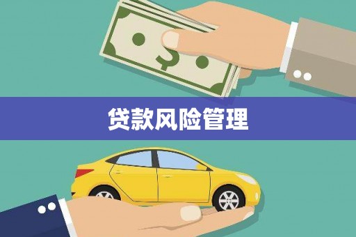 天元贷款风险管理