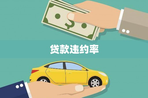 天元贷款违约率