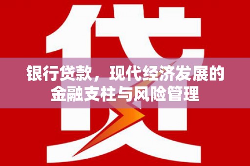 天元银行贷款，现代经济发展的金融支柱与风险管理
