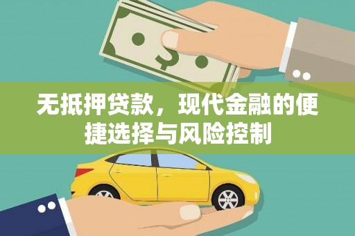 天元无抵押贷款，现代金融的便捷选择与风险控制