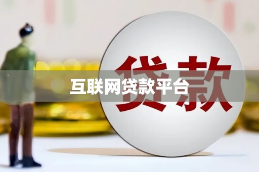 天元互联网贷款平台