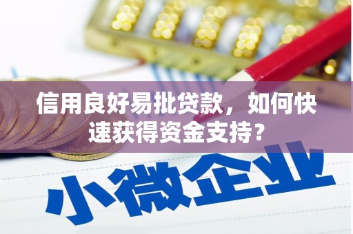 天元信用良好易批贷款，如何快速获得资金支持？