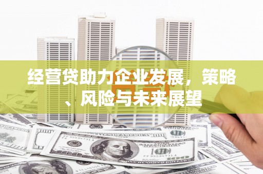 天元经营贷助力企业发展，策略、风险与未来展望