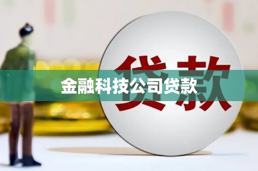 天元金融科技公司贷款