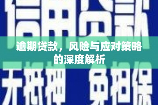 天元逾期贷款，风险与应对策略的深度解析