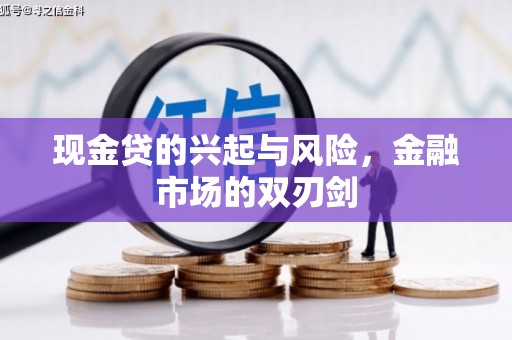 天元现金贷的兴起与风险，金融市场的双刃剑