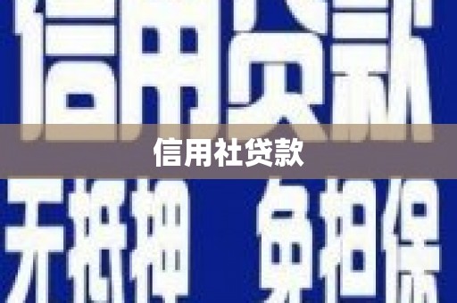 天元信用社贷款