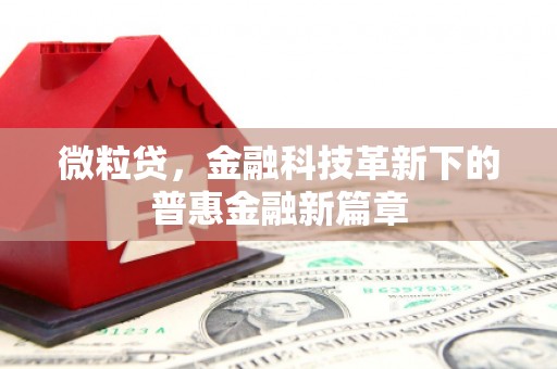 天元微粒贷，金融科技革新下的普惠金融新篇章