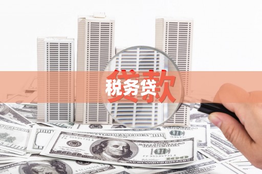 天元税务贷