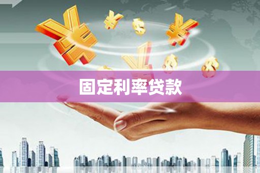 天元固定利率贷款