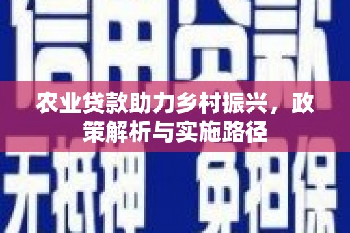 天元农业贷款助力乡村振兴，政策解析与实施路径