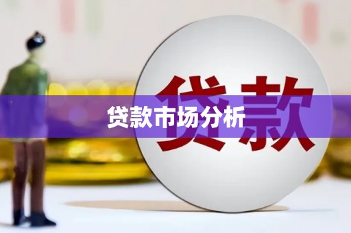 天元贷款市场分析