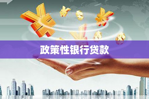 天元政策性银行贷款