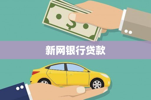 天元新网银行贷款