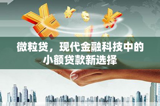 天元微粒贷，现代金融科技中的小额贷款新选择